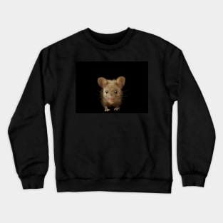 Mouse Crewneck Sweatshirt